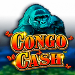 TK999 Application : Talk about Games on the net and Lottery Thrill, As well as Nagaland Lottery Overall performance